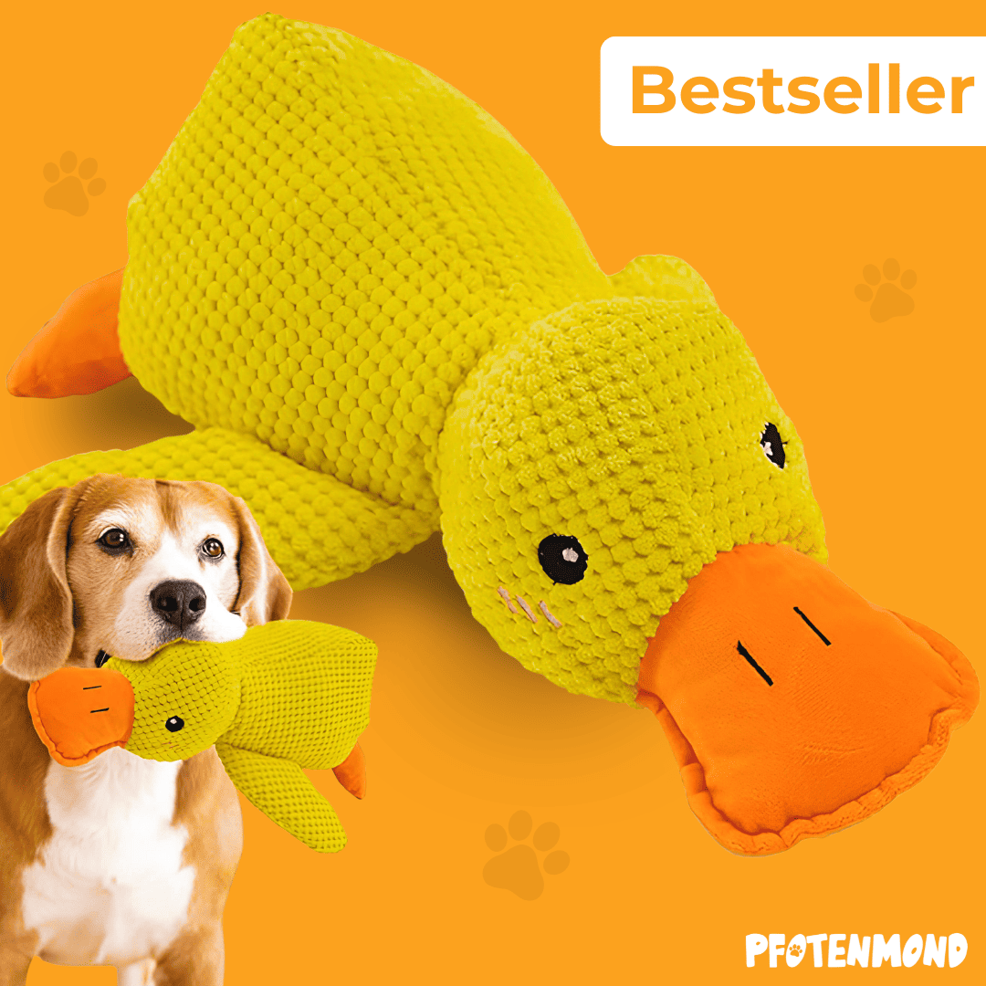 Anti-Stress-Ente