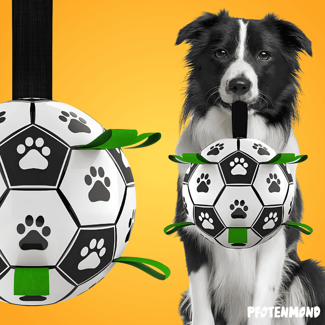 Magie-Fußball